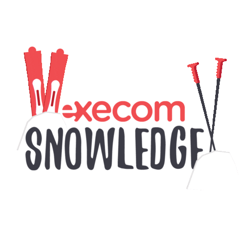 Snow Winter Sticker by Execom