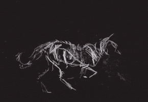 Animation GIF