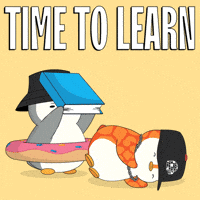 pudgypenguins-learn-lesson-you-will-ifeW9wTv01cHDocrY2