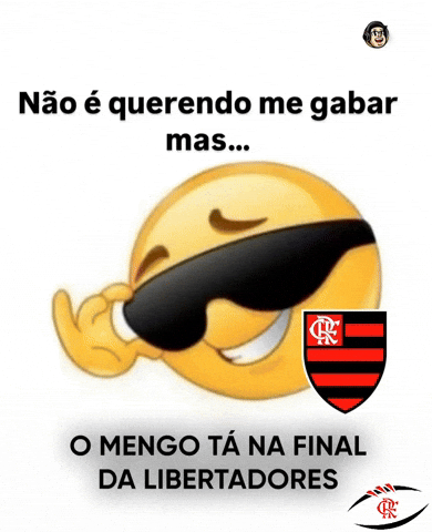 Flamengo GIF