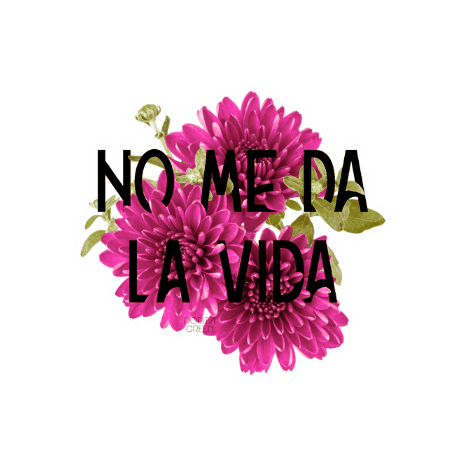 Flowers Flores Sticker for iOS & Android
