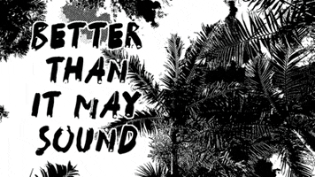 Palm Tree Sound GIF by Four Rest Films