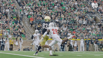 Notre Dame Touchdown GIF by Notre Dame Fighting Irish