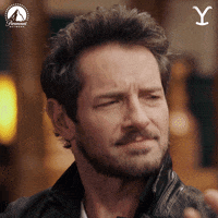 Confused Paramount Network GIF by Yellowstone