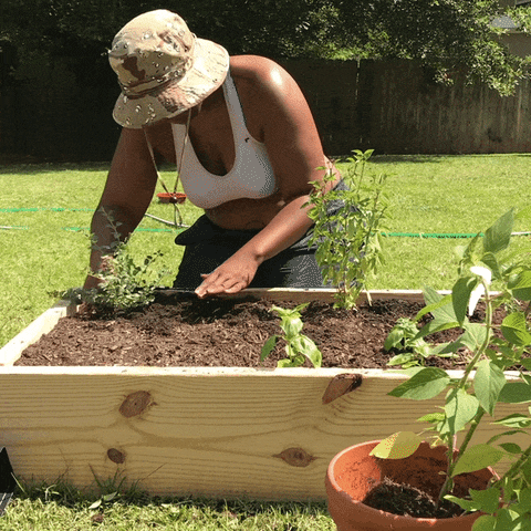 Queer planting gif by supa flowa - find & share on giphy