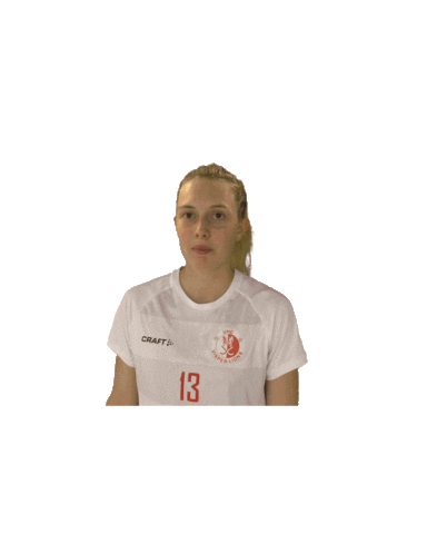 UHC Visper Lions Sticker