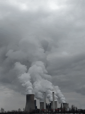 GIF by Joanie Lemercier