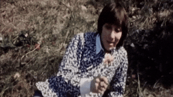 GIF by The Who
