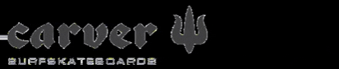 surfskateboards GIF