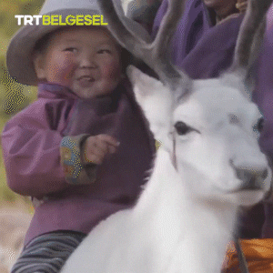 Kid Smile GIF by TRT