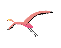 Pink Sticker