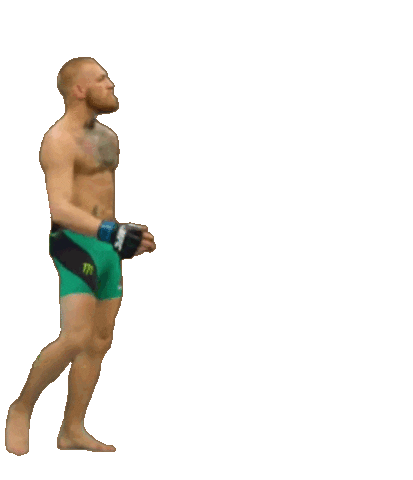 The Notorious Fight Sticker by Conor McGregor for iOS & Android | GIPHY