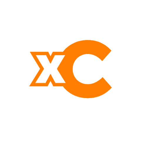 Iceland Xc Sticker by Viðreisn