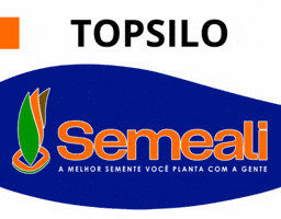 Sorgo Silagem GIF by semealisementes
