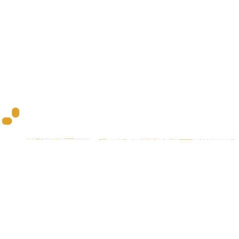 Agentedebienesraices Sticker by Nexo Inmobiliario