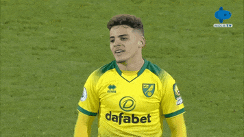 200.gif?cid=fc005b08d74d61d0a54a7e0ca019d6b1b35f4a554641ec5e&rid=200.gif&ct=g