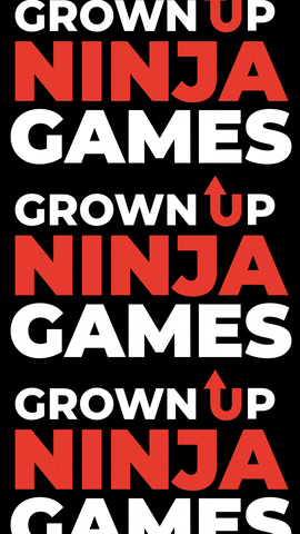 Ninjacon GIF by The NinjaZone