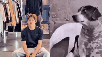 Puppy GIF
