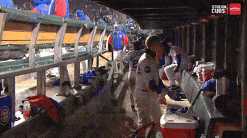 Chicagostylecubs GIF