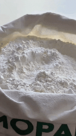 MOPAN GIF