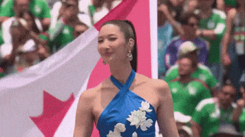 World Cup GIF
