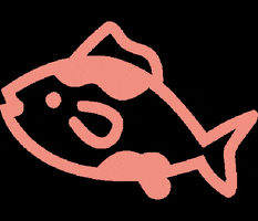 otterhalf fish koi otterhalf GIF
