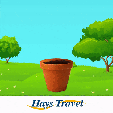 cancer research summer GIF by Hays Travel