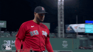 Boston Red Sox Hug GIF by MLB