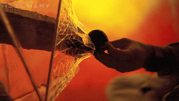 Here You Go Amazon GIF by Project Hail Mary
