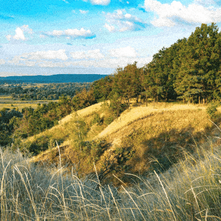 Church Of Christ GIF