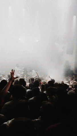 GIF by moullinex