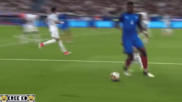janvejdelek france england pogba GIF