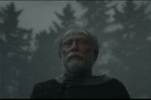 A Knight Of The Seven Kingdoms Shrug GIF