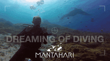 Awesome Manta Ray GIF by Mantahari Ocean Care