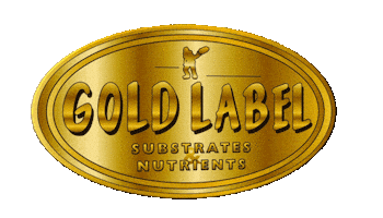 Sticker by Misaki Drinks