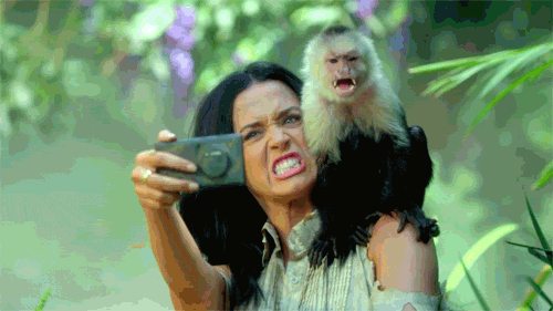 Katy Perry Selfie GIF by Vulture.com - Find & Share on GIPHY