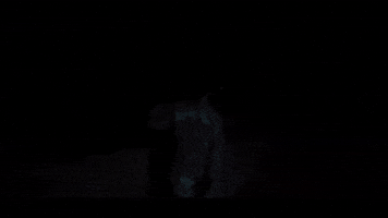 Panda GIF by Protect