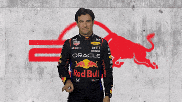 Red Bull Sport GIF by Oracle Red Bull Racing