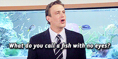 how i met your mother fish GIF