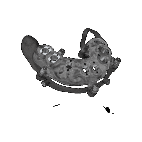 Guide Pierre Sticker by Biotech Dental