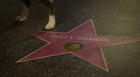 Peeing Matt Damon GIF