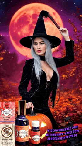Sorciere GIF