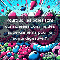 expliquepourquoi-baies-superaliments-sant-digestive-invsc5NC52SDHNFKJ4