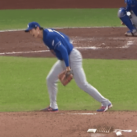 Los Angeles Dodgers Baseball GIF by MLB