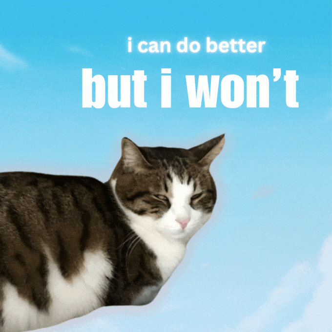 Cute Cat GIF by Furrend