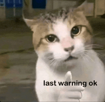 Cat Angry Lastwarning GIF