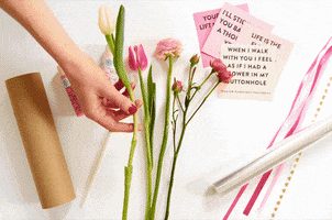 brunobornsztein  GIF