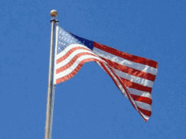 American Flag Veterans Day GIF