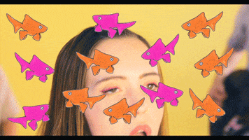 200.gif?cid=fc005b08065fbaad42fea802e36318fa53eac1d721ce843c&rid=200.gif&ct=g