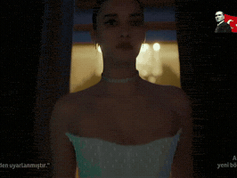 Turkish Abi GIF
